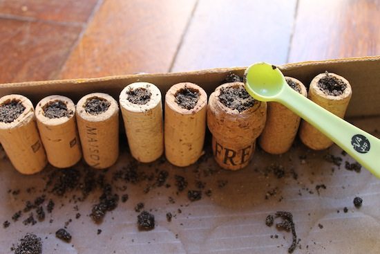 potting soil for cork planters