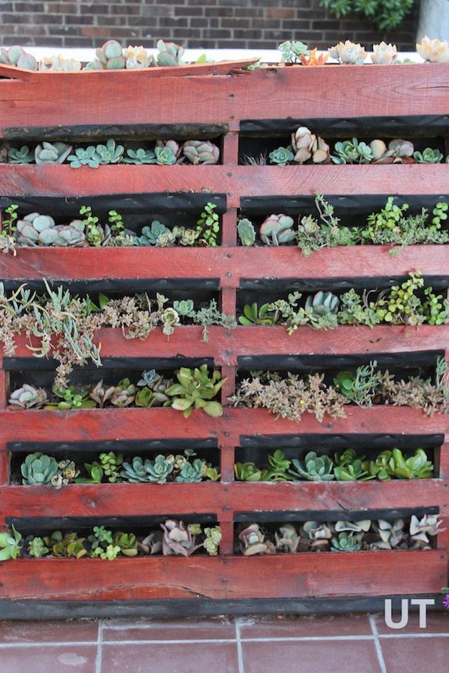 vertical pallet planter