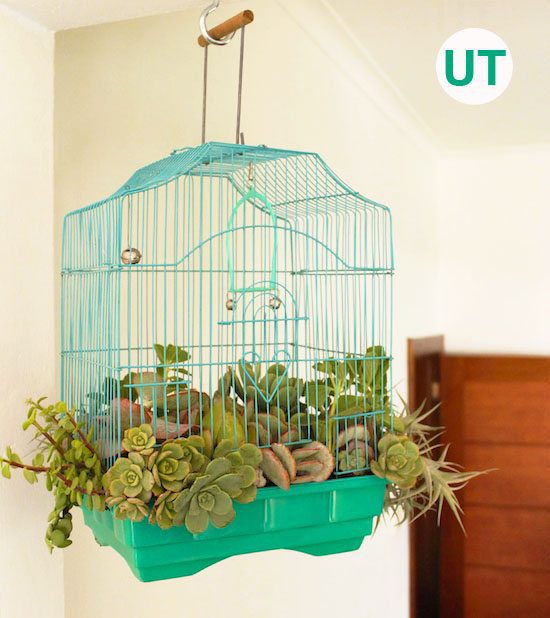 Birdcage Planter | Upcycle That