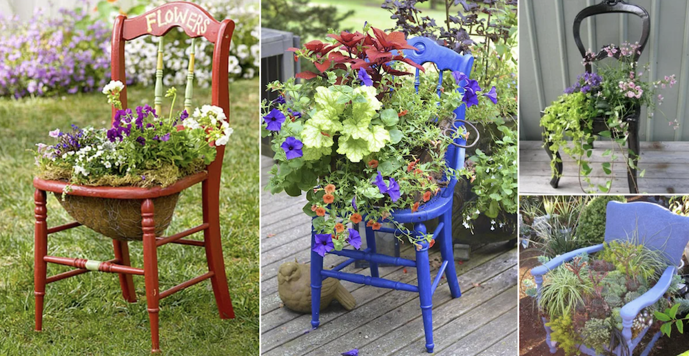 eco-gardening chair planter
